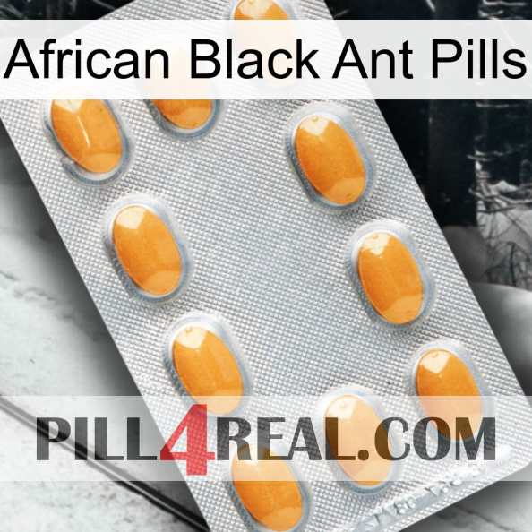 African Black Ant Pills cialis3.jpg